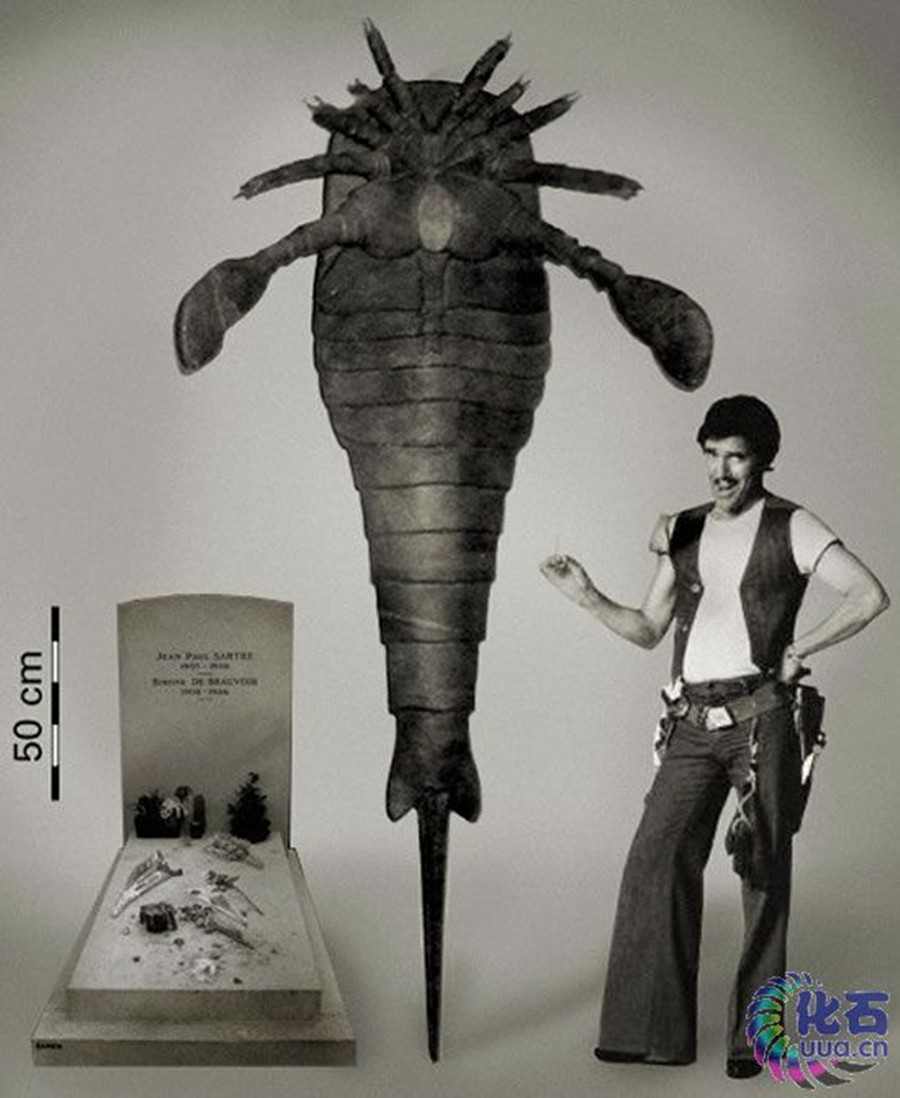 pr3aofs">巨型古广翅鲎jaekelopterus rhenaniae是一种广翅鲎海蝎子