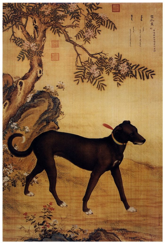 ">清代 /a>宫廷画家 a target="_blank" href="/item/郎世宁/590547"