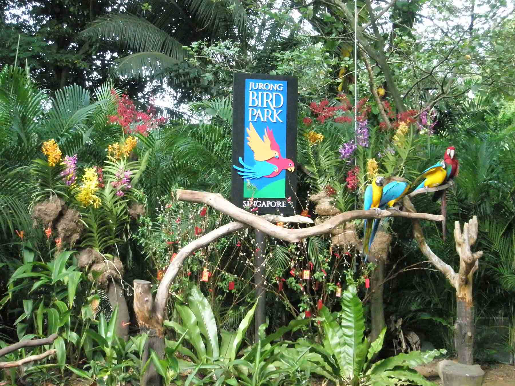  p>裕廊飞禽公园(jurong bird park)坐落在 a target="_blank" href="