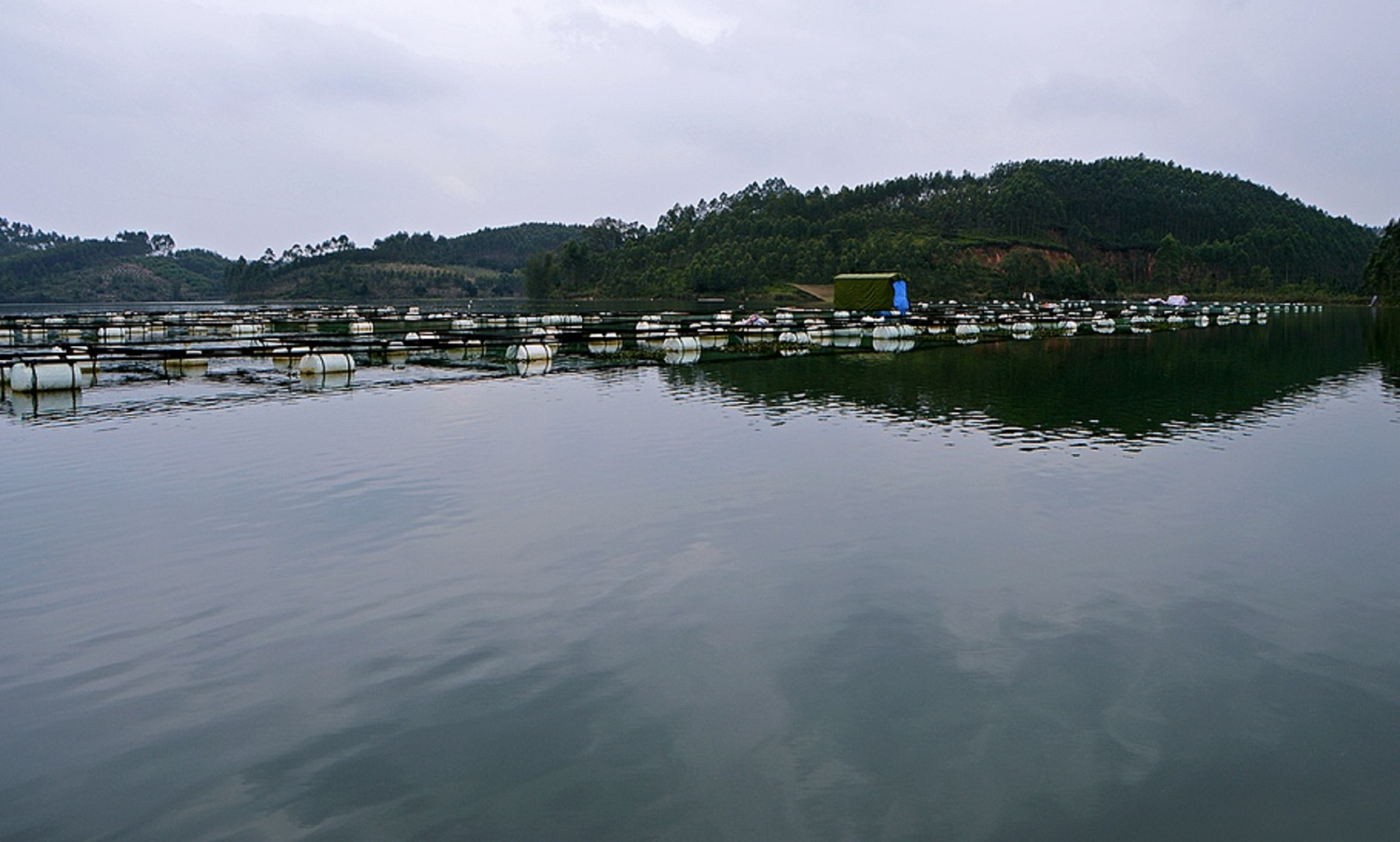 越州天湖地处小江水库区,南北走向,纵距最长达52公里.