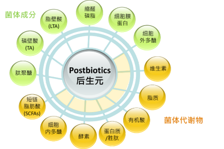 科学网—[转载]后生元：是益生菌经加工处理后的益生菌代谢物成分统称，包括菌体与代谢产物 - 张成岗的博文