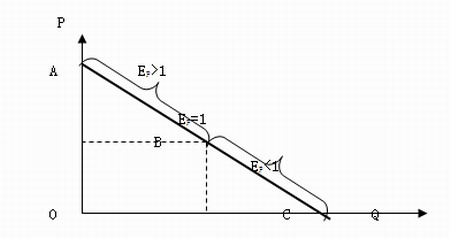  p>价格弹性指价格变动引起的市场需求量的变化程度.