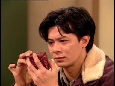 the criminal investigator