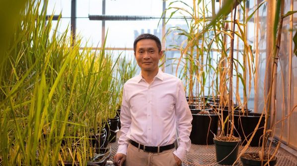 何川（化学生物学家，美国艺术与科学院院士，芝加哥大学教授）_百度百科