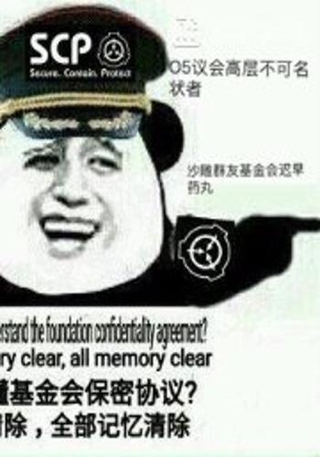 沙雕群友的神秘基金会