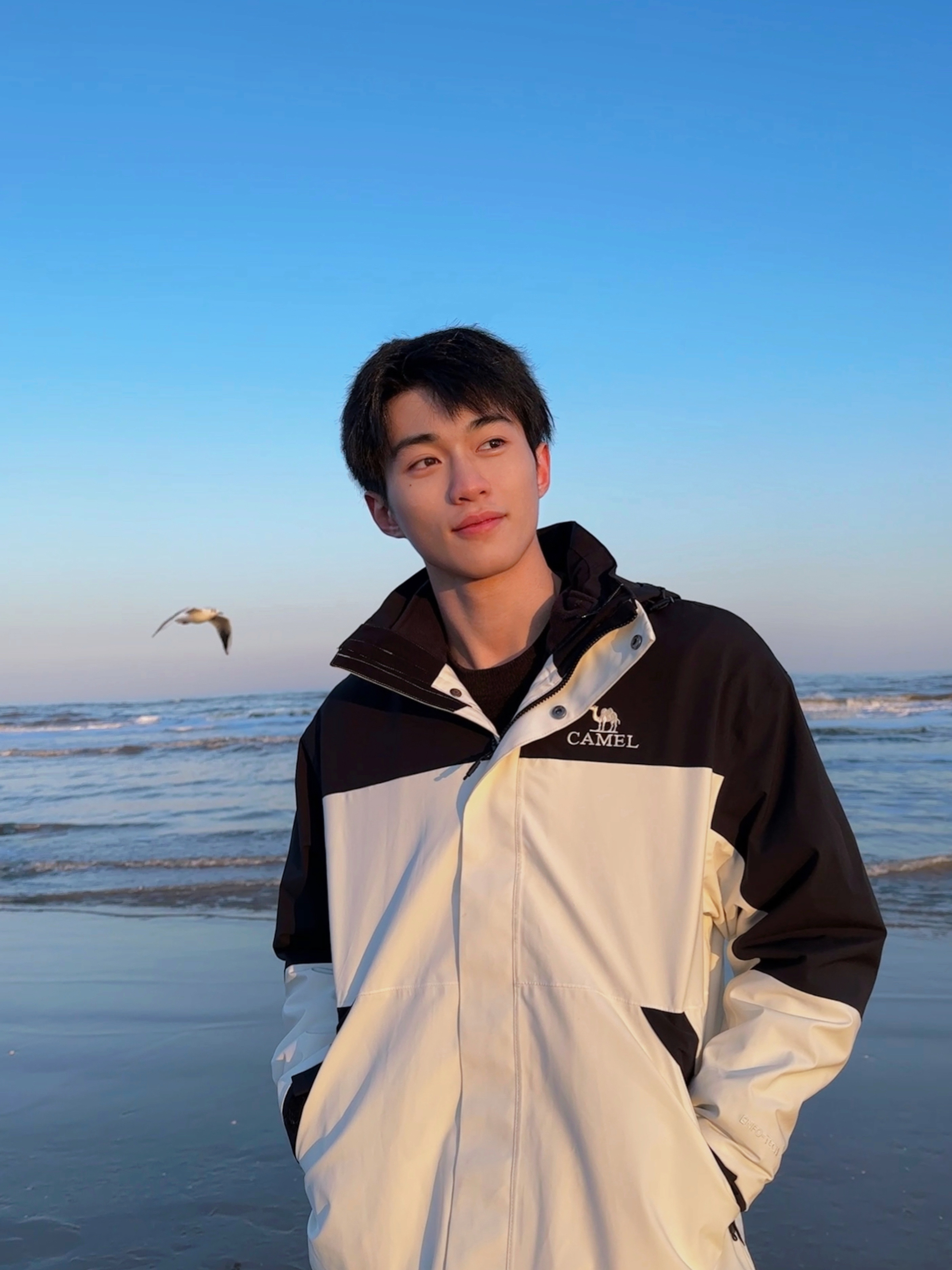陈志明照片(陈志明最新动态)