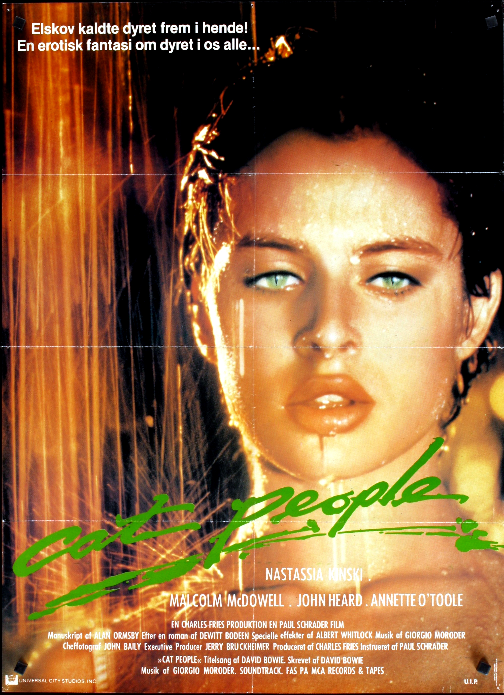 173303" data-lemmaid="173303">保罗·施拉德 /a>执导的惊悚奇幻电影