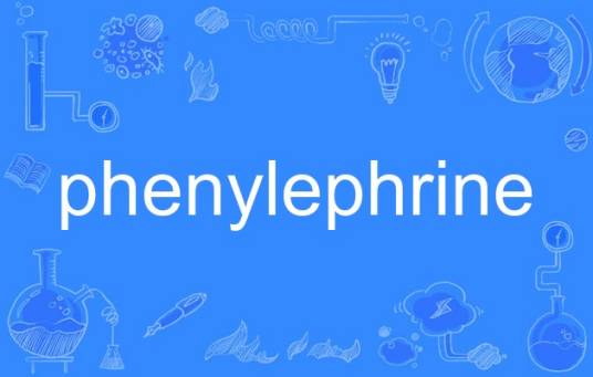 phenylephrine_百度百科