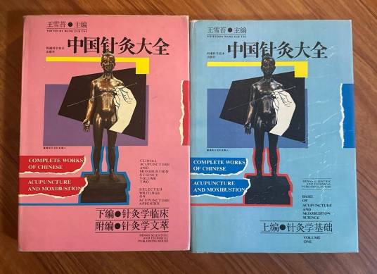 中国针灸大全_百度百科