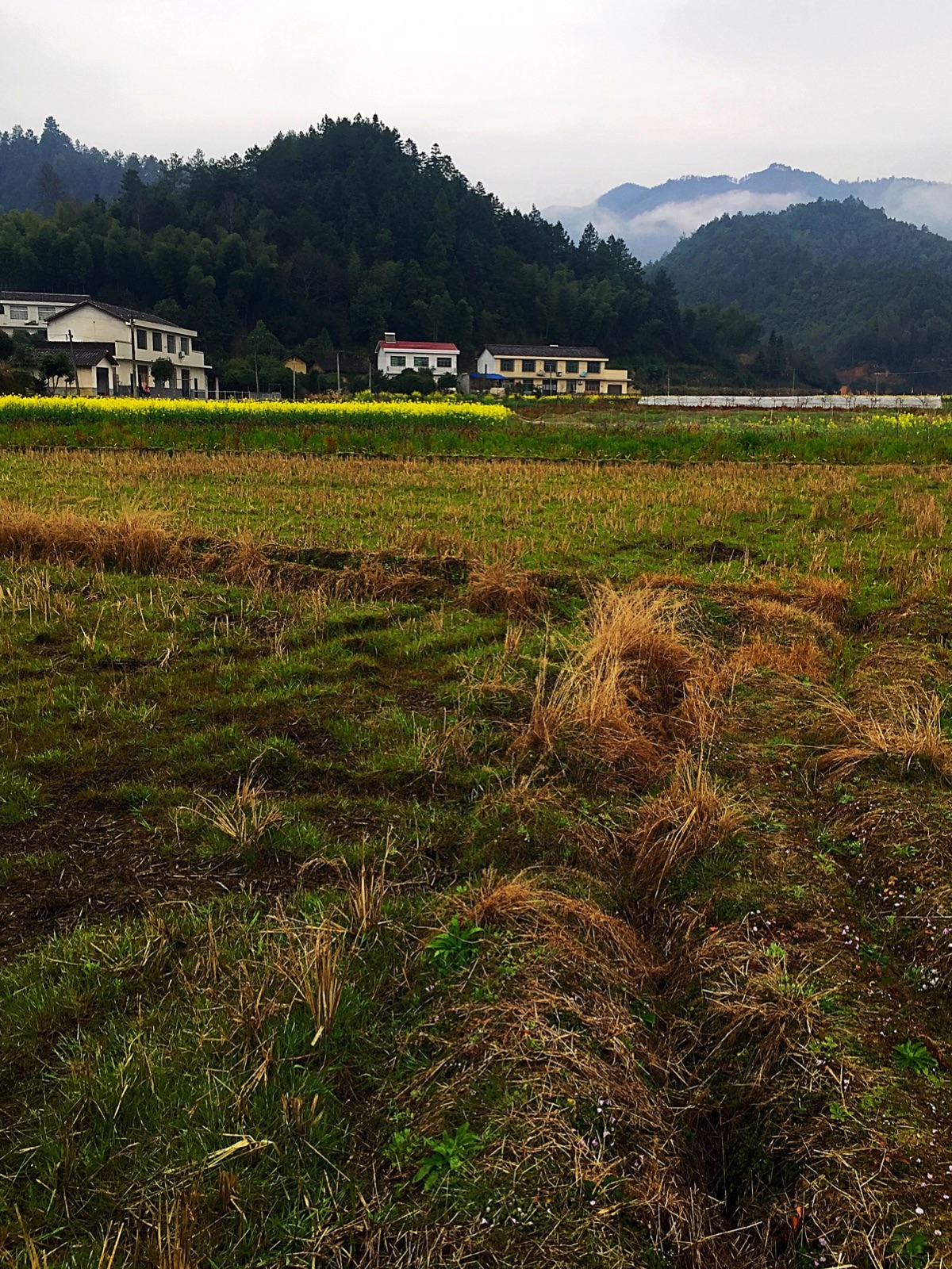  p data-id="gnzwzpd0n4">达浒镇,隶属于湖南省长沙市浏阳市,地处 a