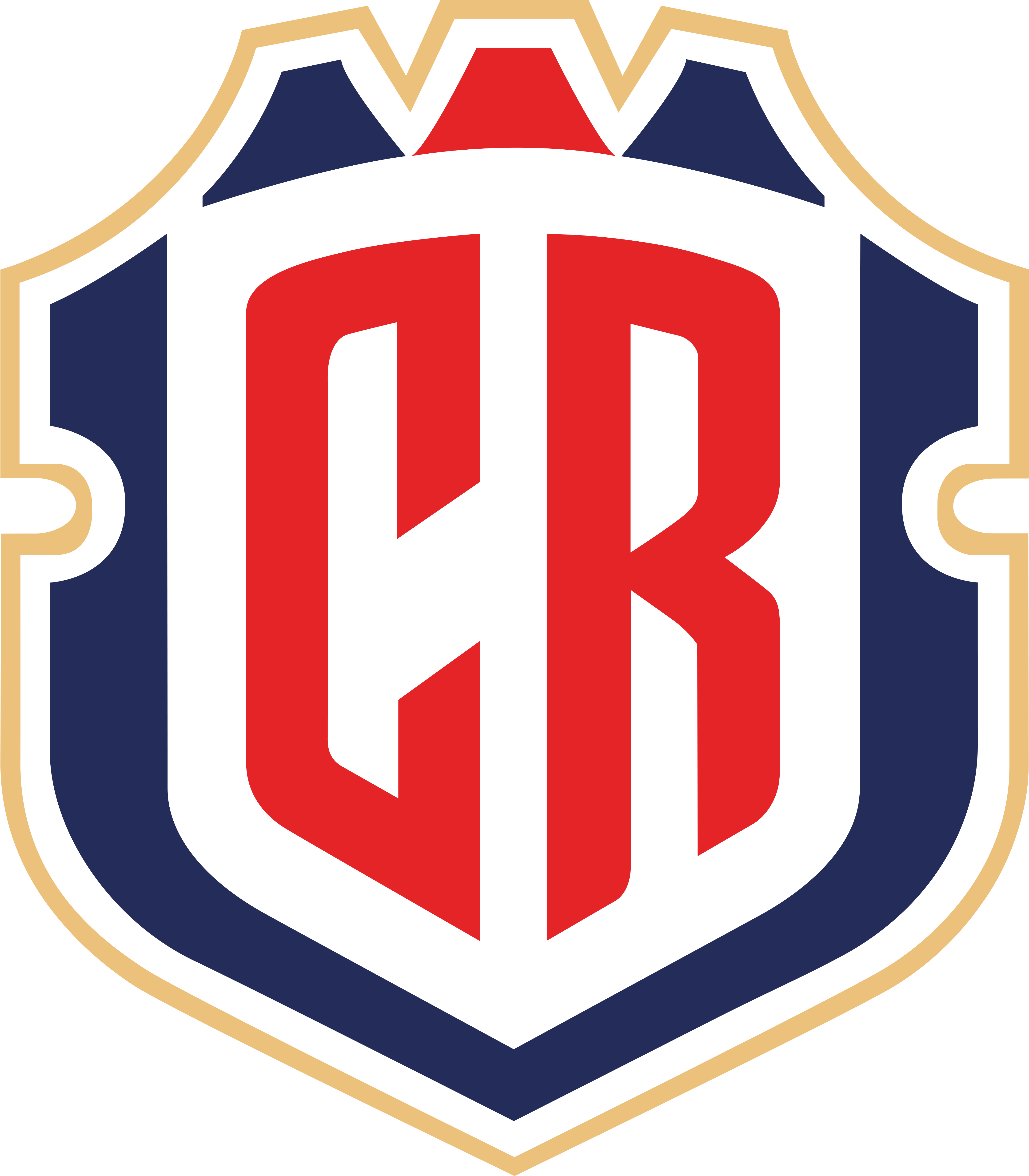 哥斯达黎加国家男子足球队