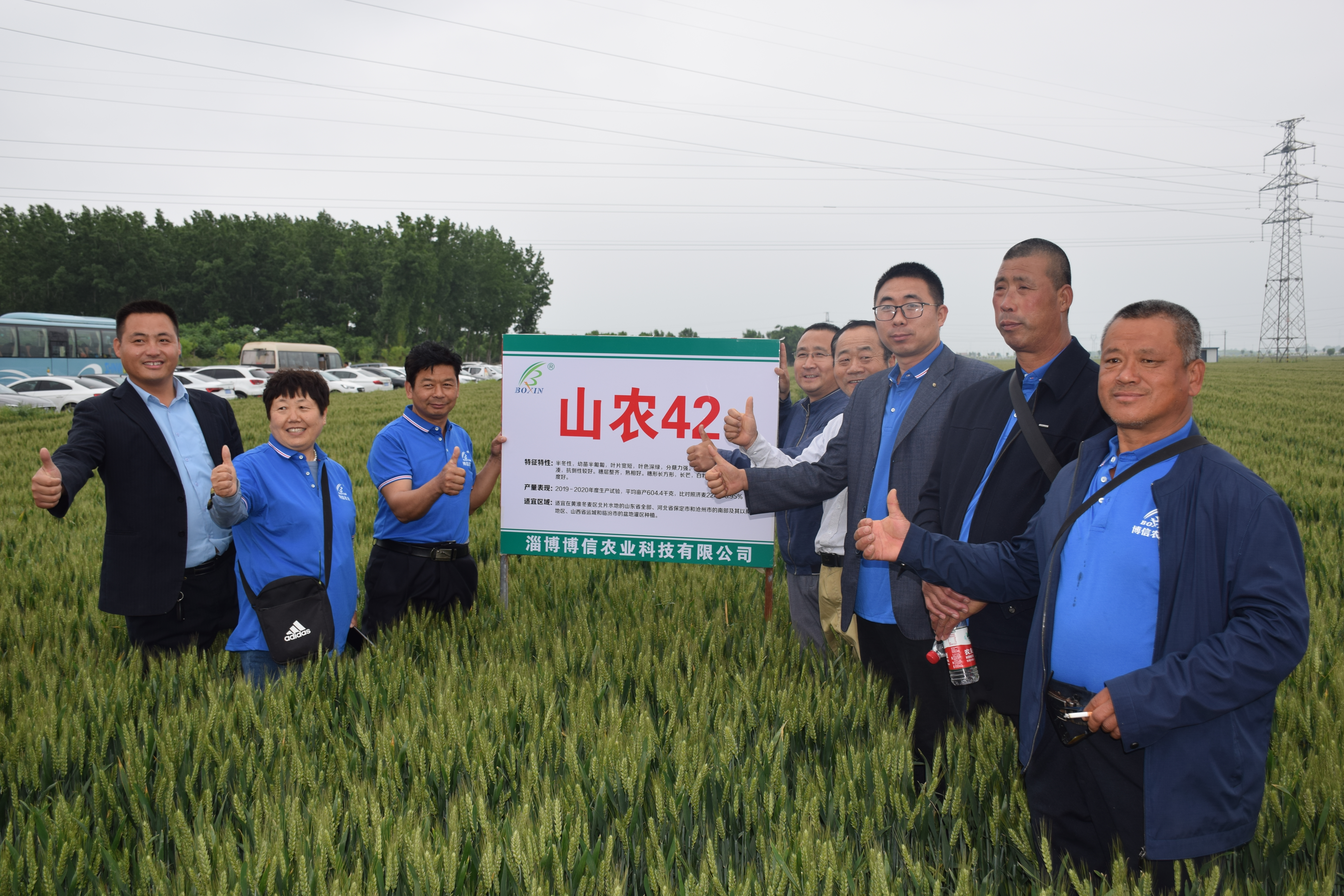 小麦品种, b>育种者: /b> a target="_blank" href="/item/山东农业