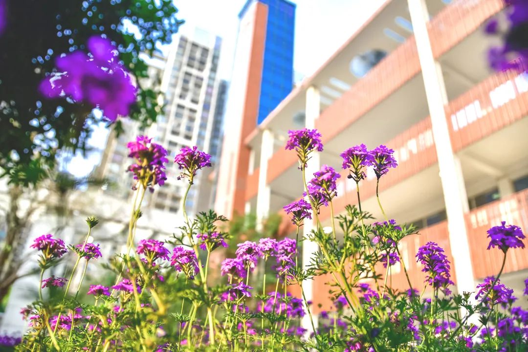 重庆市鲁能巴蜀中学校