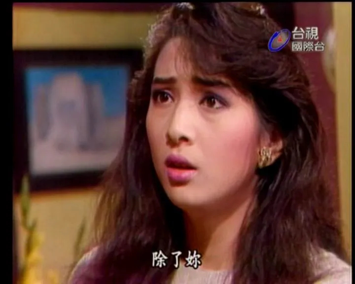 《家有仙妻》美女林以真55岁冻龄有方！曾秘嫁富翁息影_百科TA说