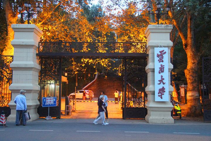 云南大学