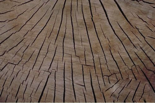 实木开裂
