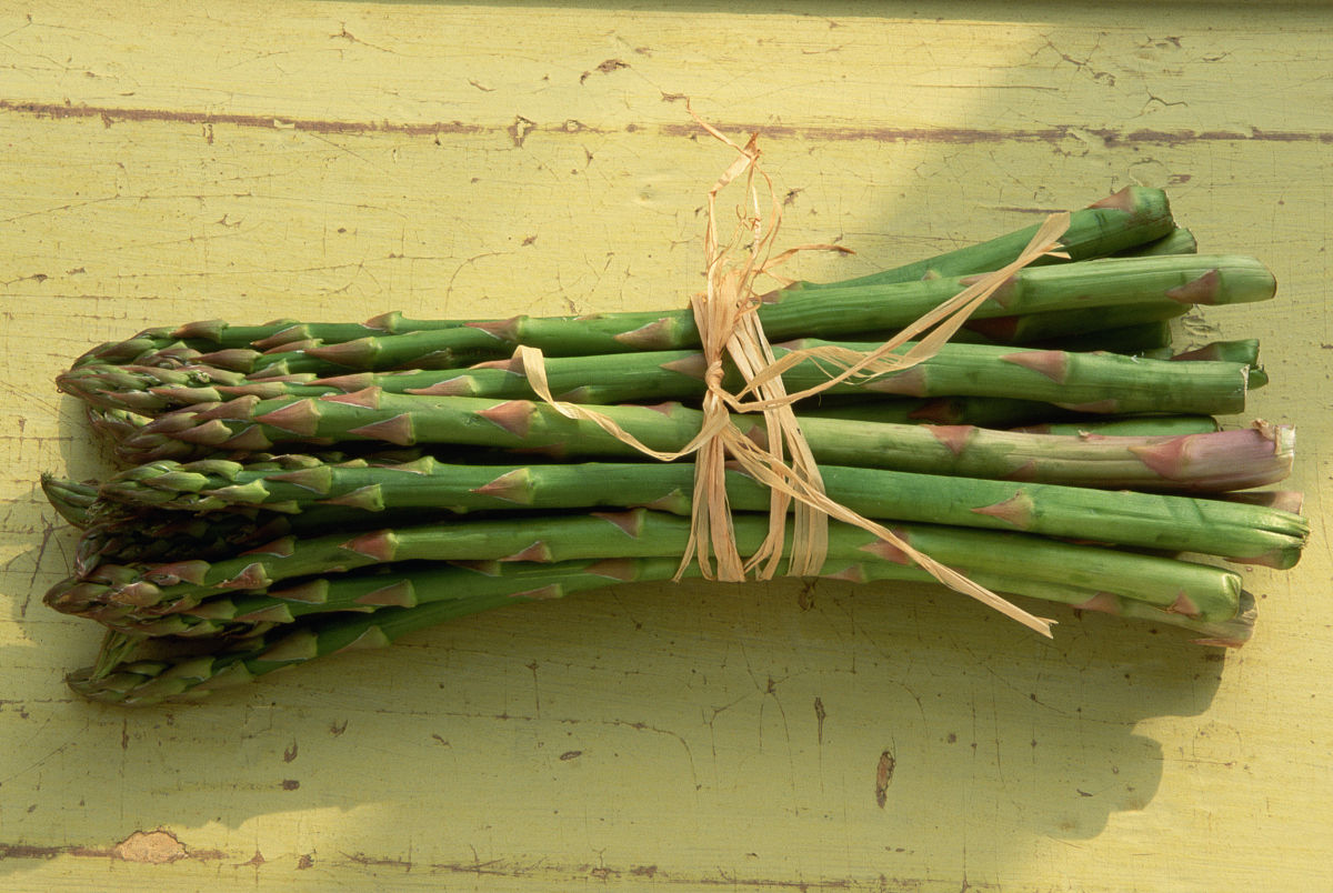  p>酒椰(学名: i>raphia vinifera /i> beauv.