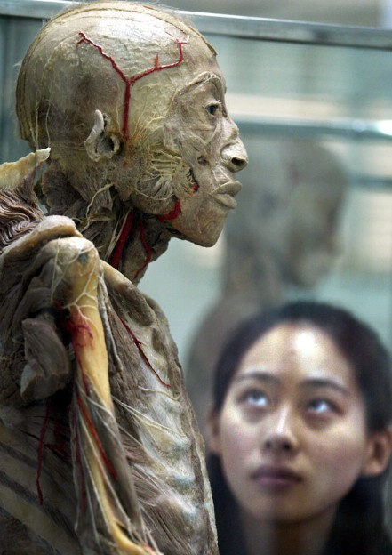  p>尸体加工厂即专门专门从事生物塑化工作,把尸体 a>解剖 /a>, a