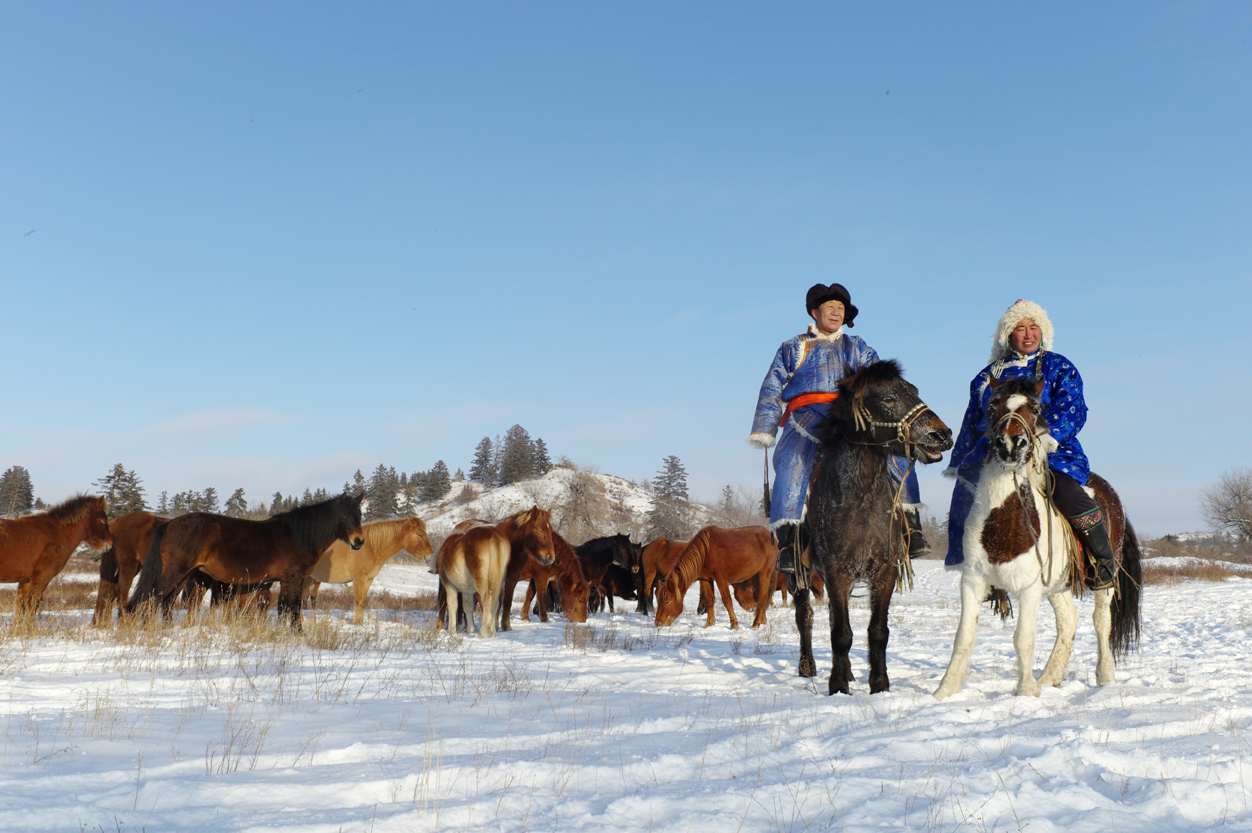 铁蹄是什么意思(铁蹄是什么意思啊)
