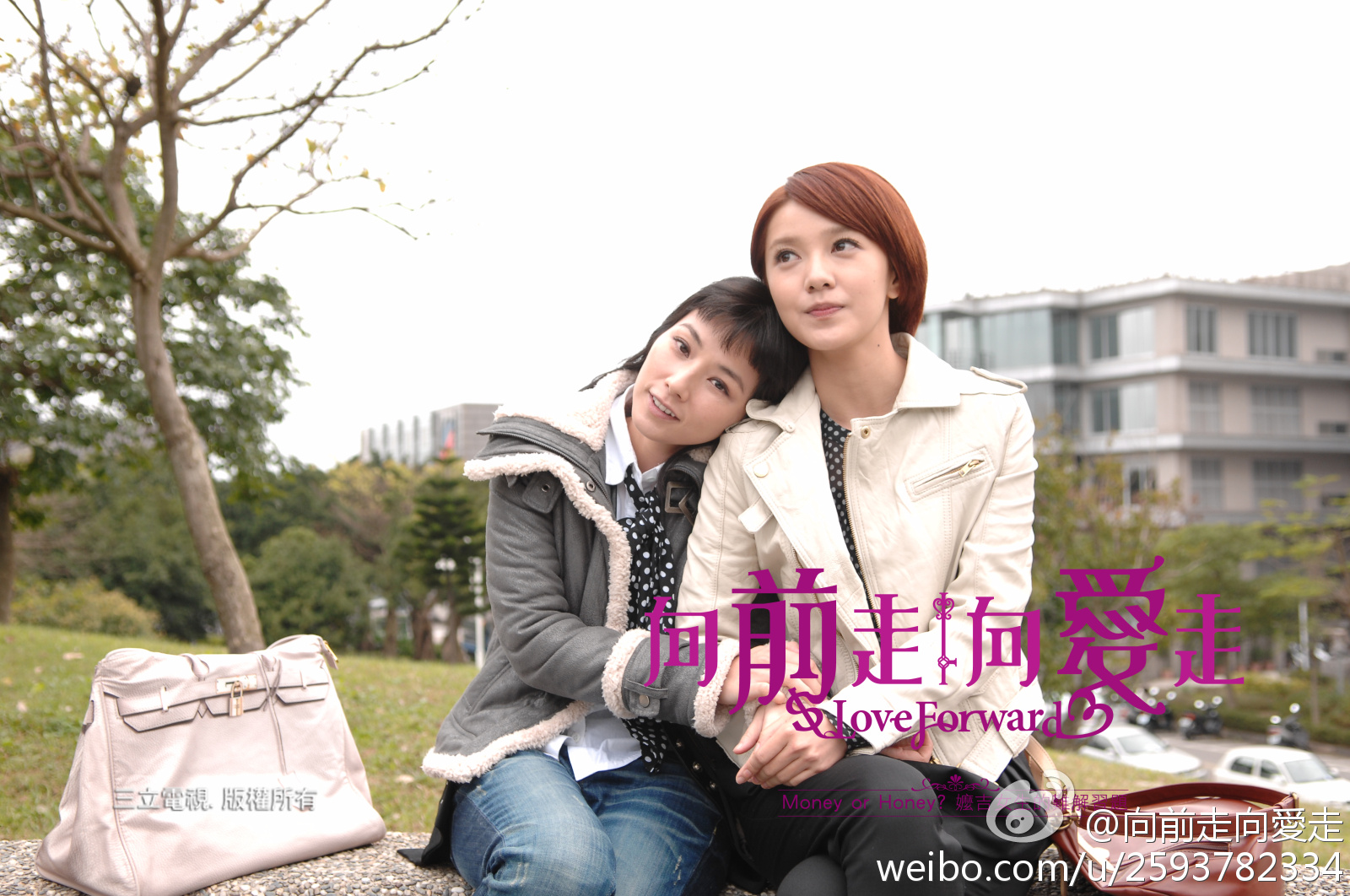  p>《向前走向爱走》由 a target="_blank" href="/item/台湾三立电视