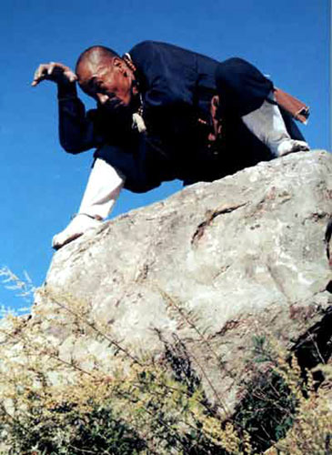 对敌自卫时,一双铁爪断骨拿筋,封穴擒拿