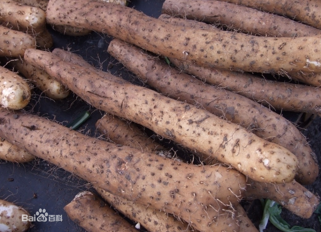 中医上有 a target="_blank" href="/item/四大怀药/1200942" data