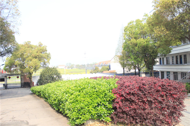 望江县赛口中学