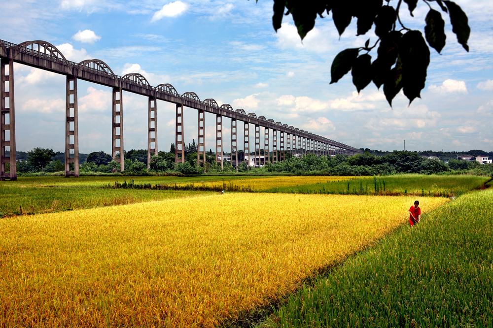  p>春华镇隶属于湖南省长沙市 a target="_blank" href="/item/长沙县