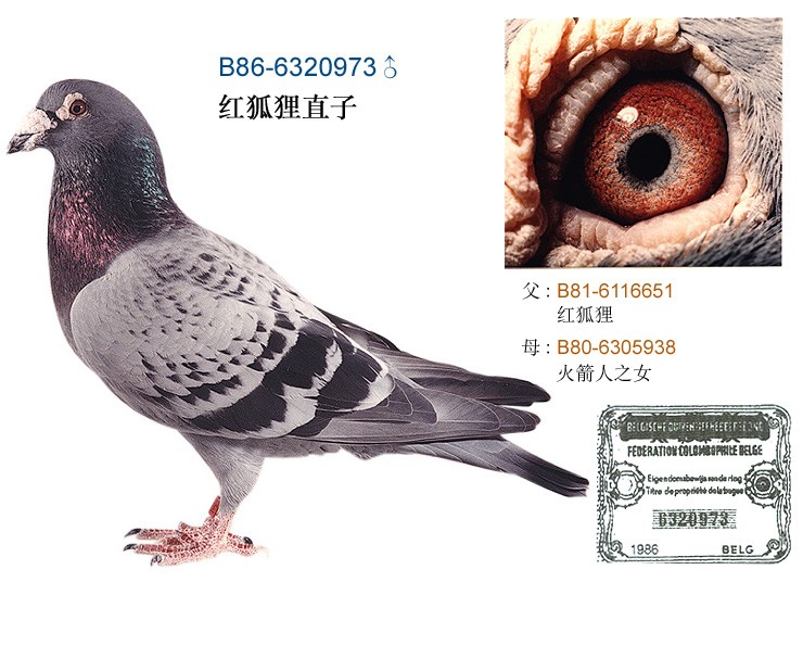  a target="_blank" href="/item/亨利·詹森">亨利·詹森 /a>(hcnery