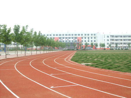临清市实验高级中学