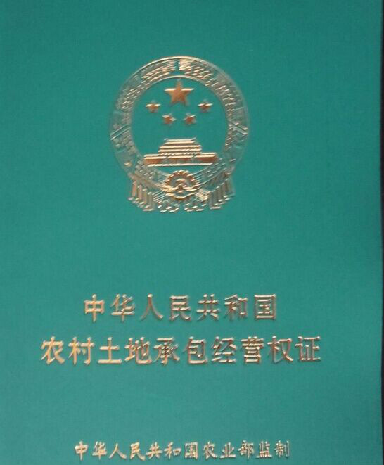 农村土地承包政策制度的主要内容