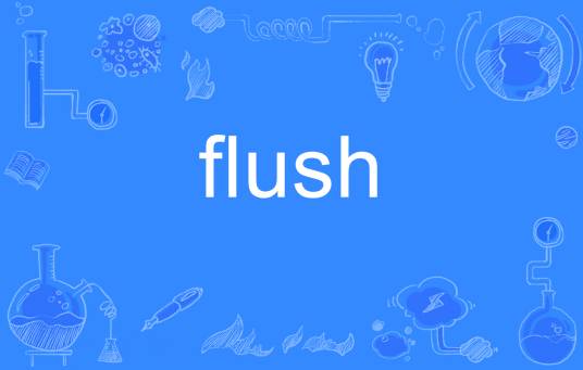 flush（英语单词）_百度百科