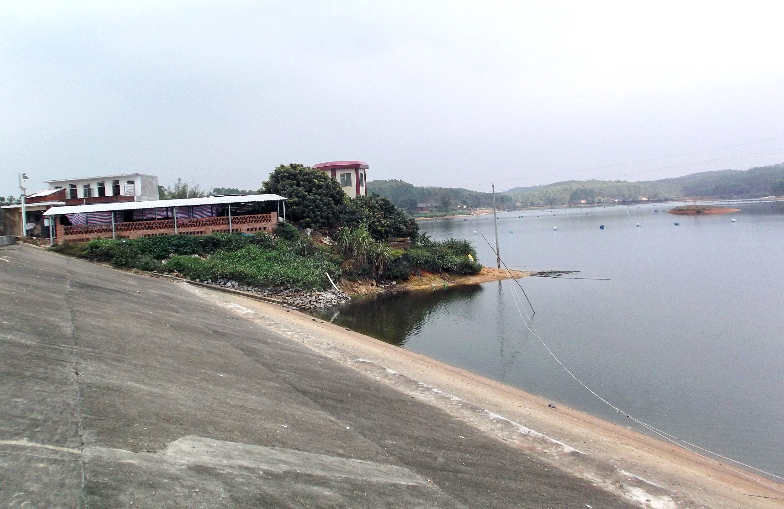 广西博白县龙潭镇