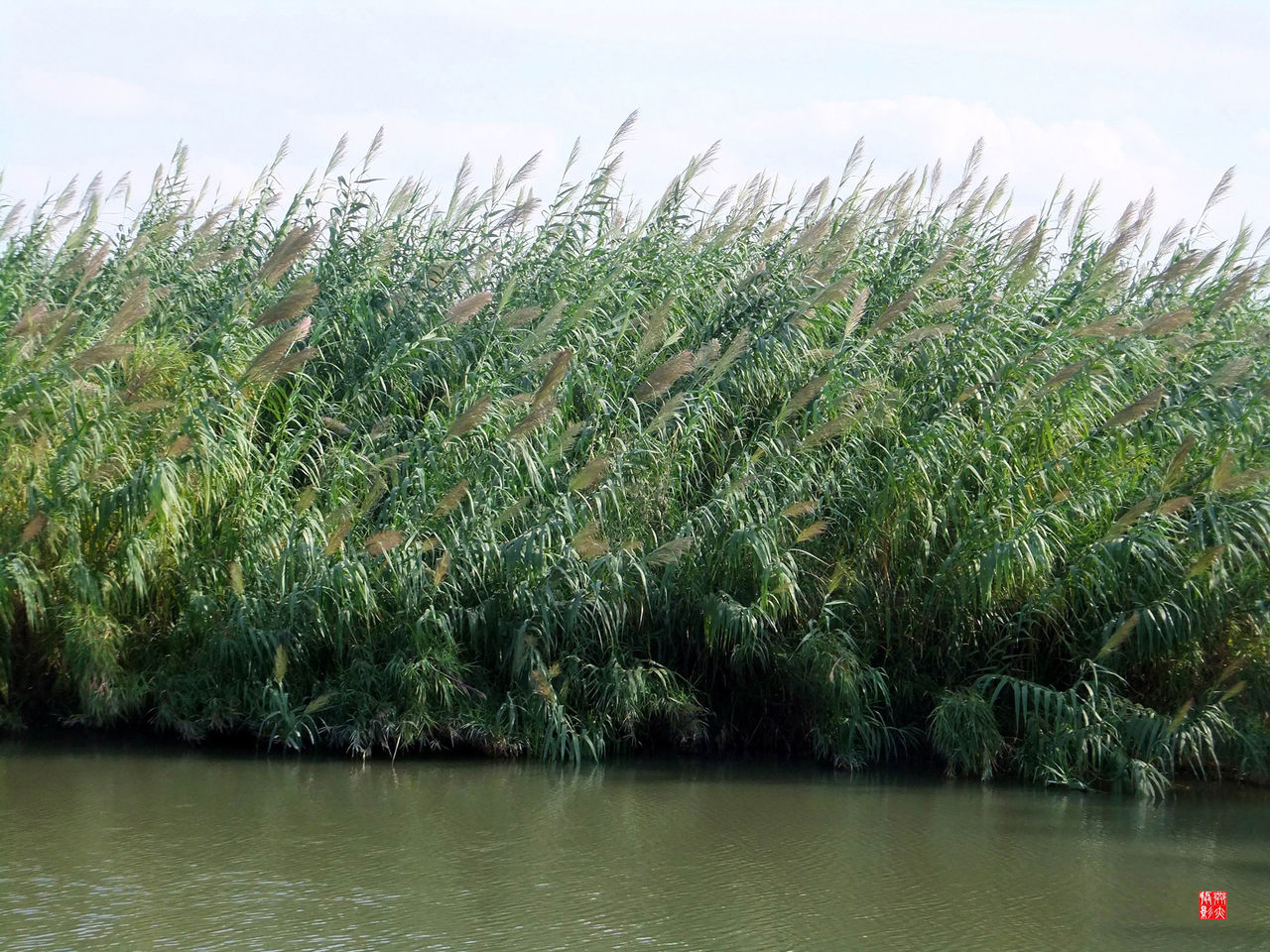  p>沙家浜芦苇荡风景区位于明媚秀丽的 a target="_blank" href="