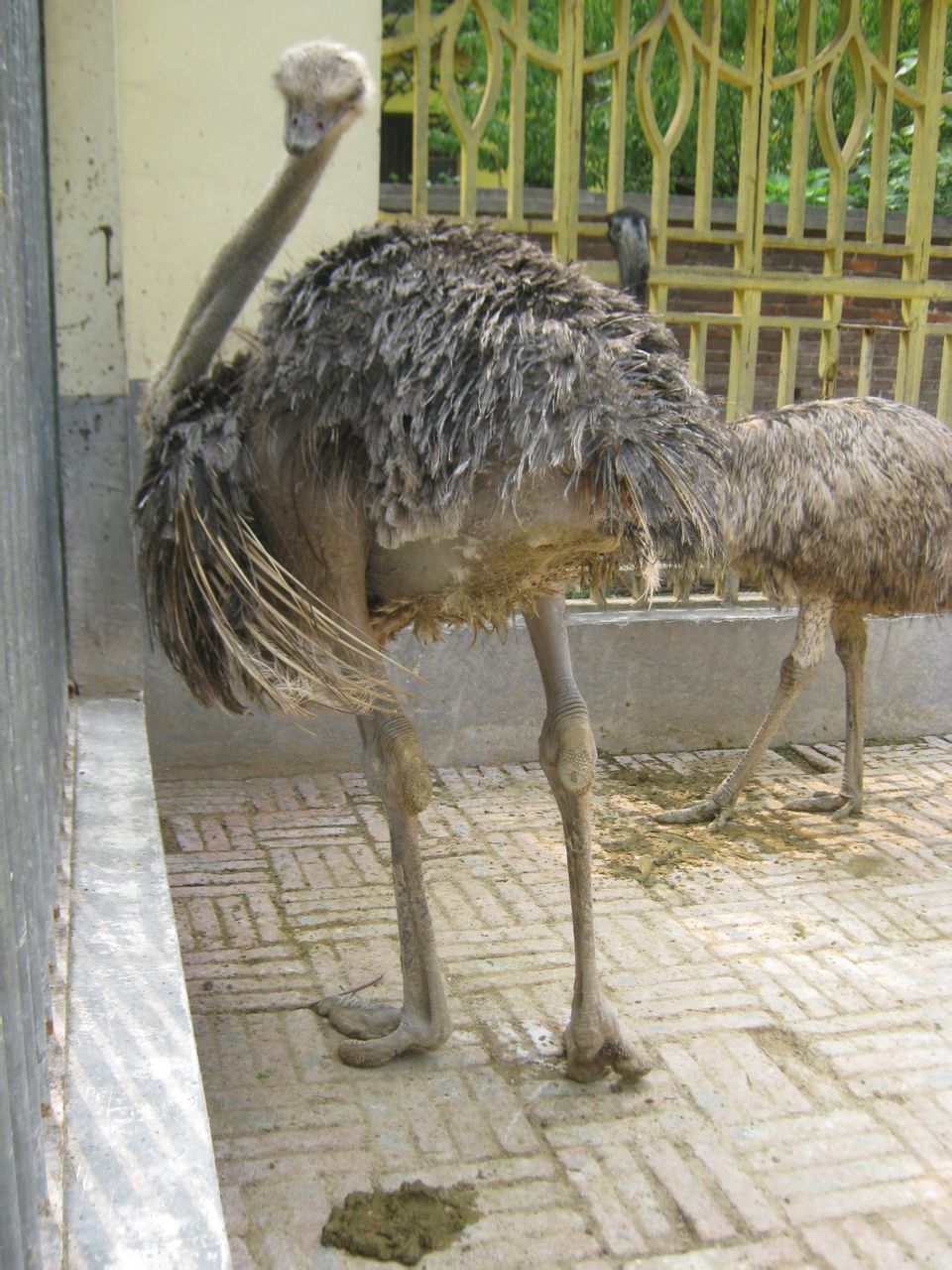  p>衡阳动物园坐落于中南重镇 a href="#" data-lemmaid="235811">