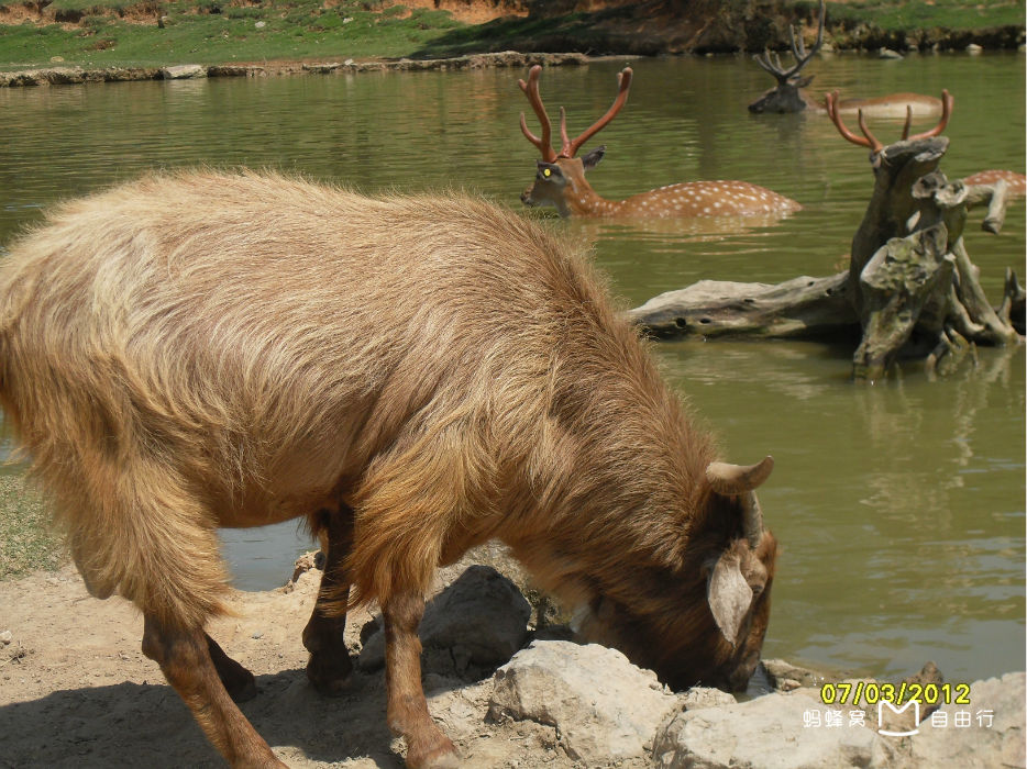 厦门海沧动物园
