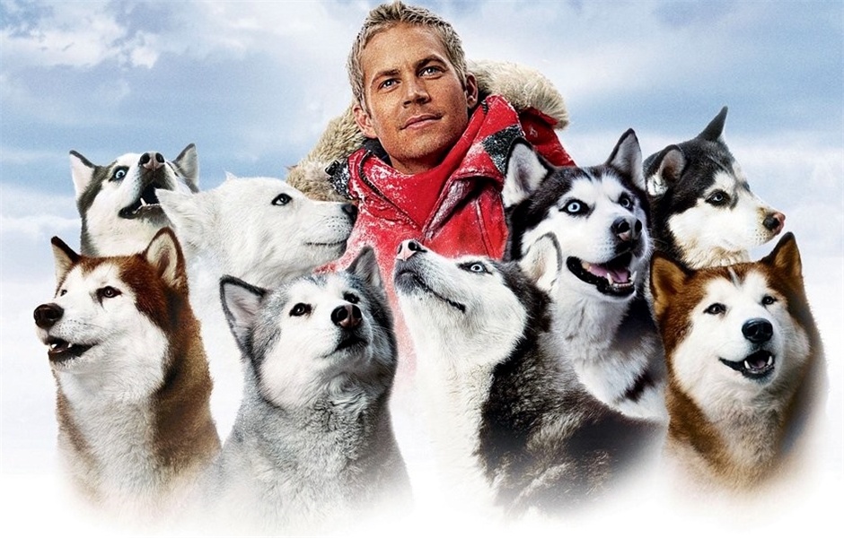  p>《南极大冒险》改编自1958年日本派遣越冬观测队的真实事件,由 a