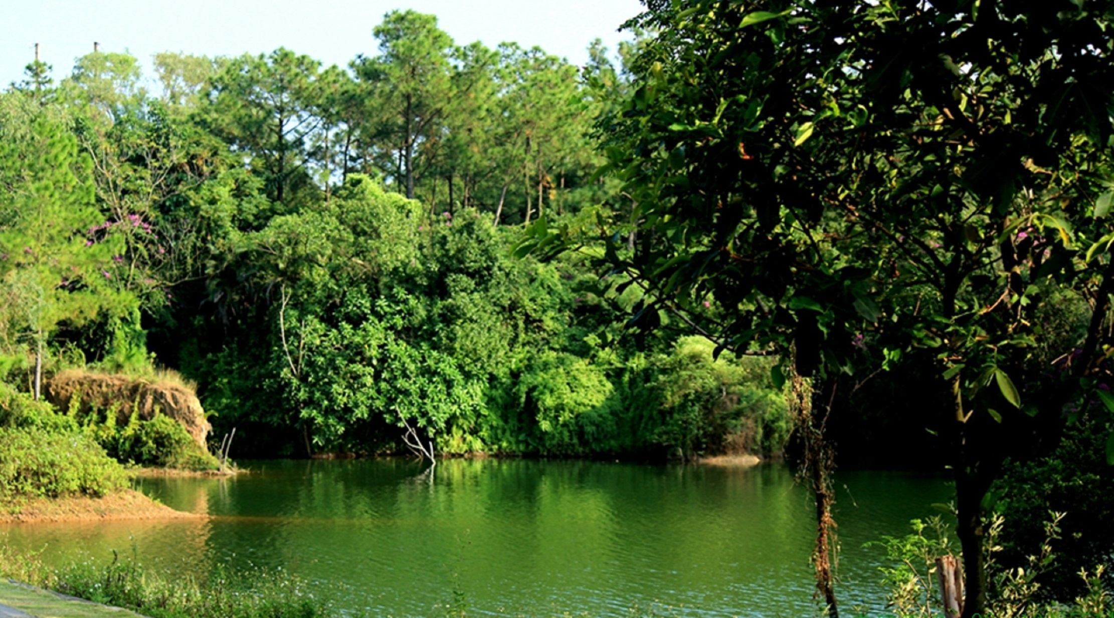 广东三岭山国家森林公园