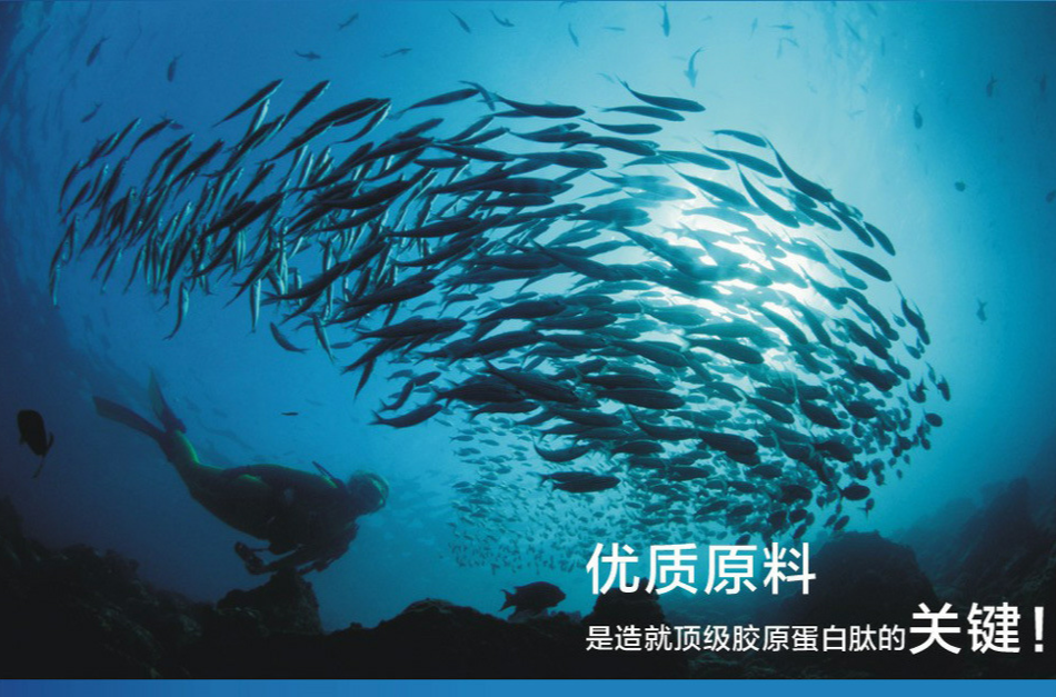  p>鱼胶原蛋白肽是一种高分子功能性 a target="_blank" href="/item