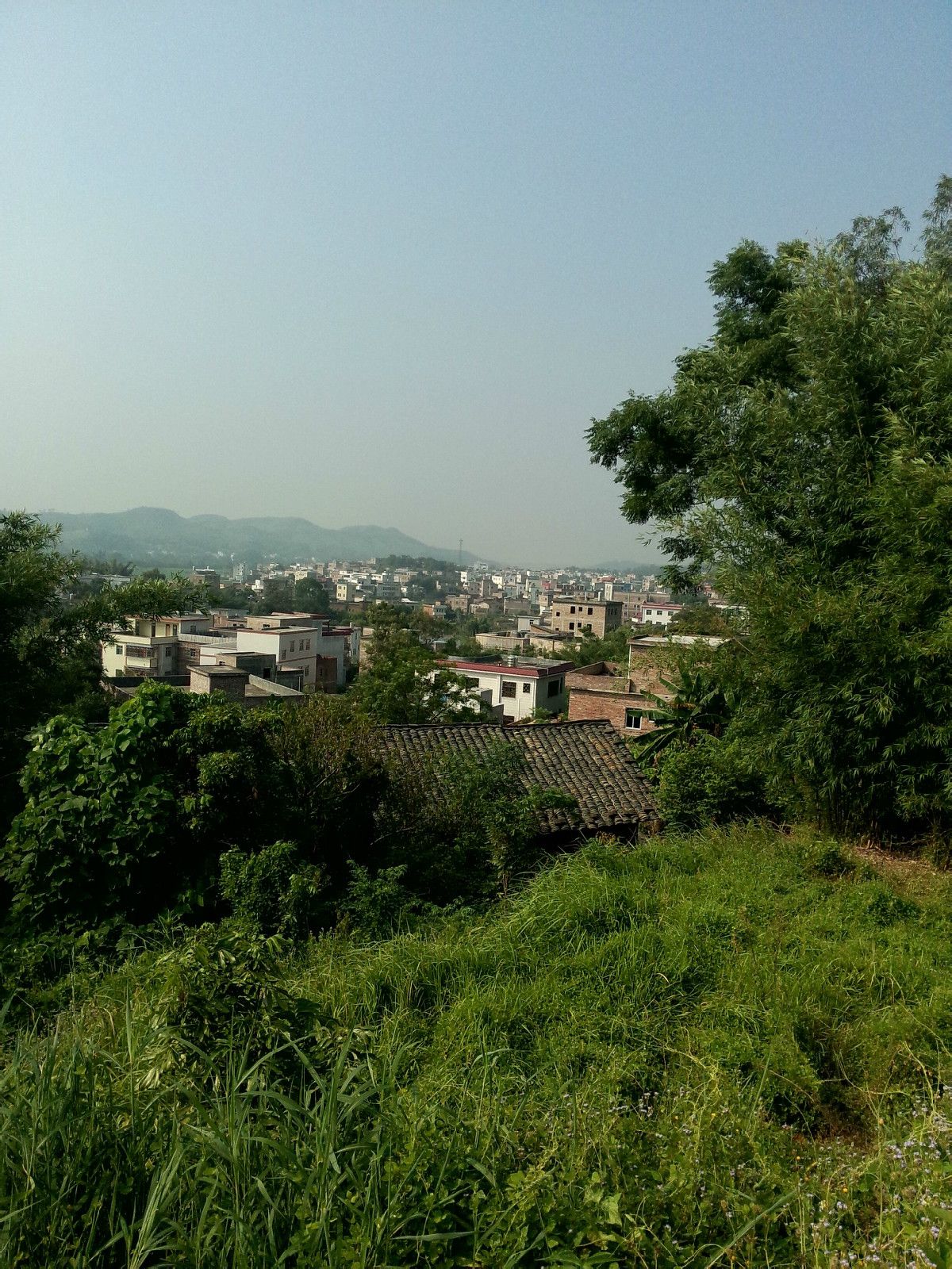 安流镇 全网资源