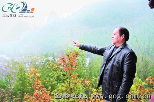 胡族杨店湿地生态园