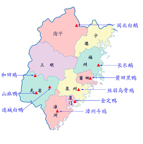 漳州斗鸡