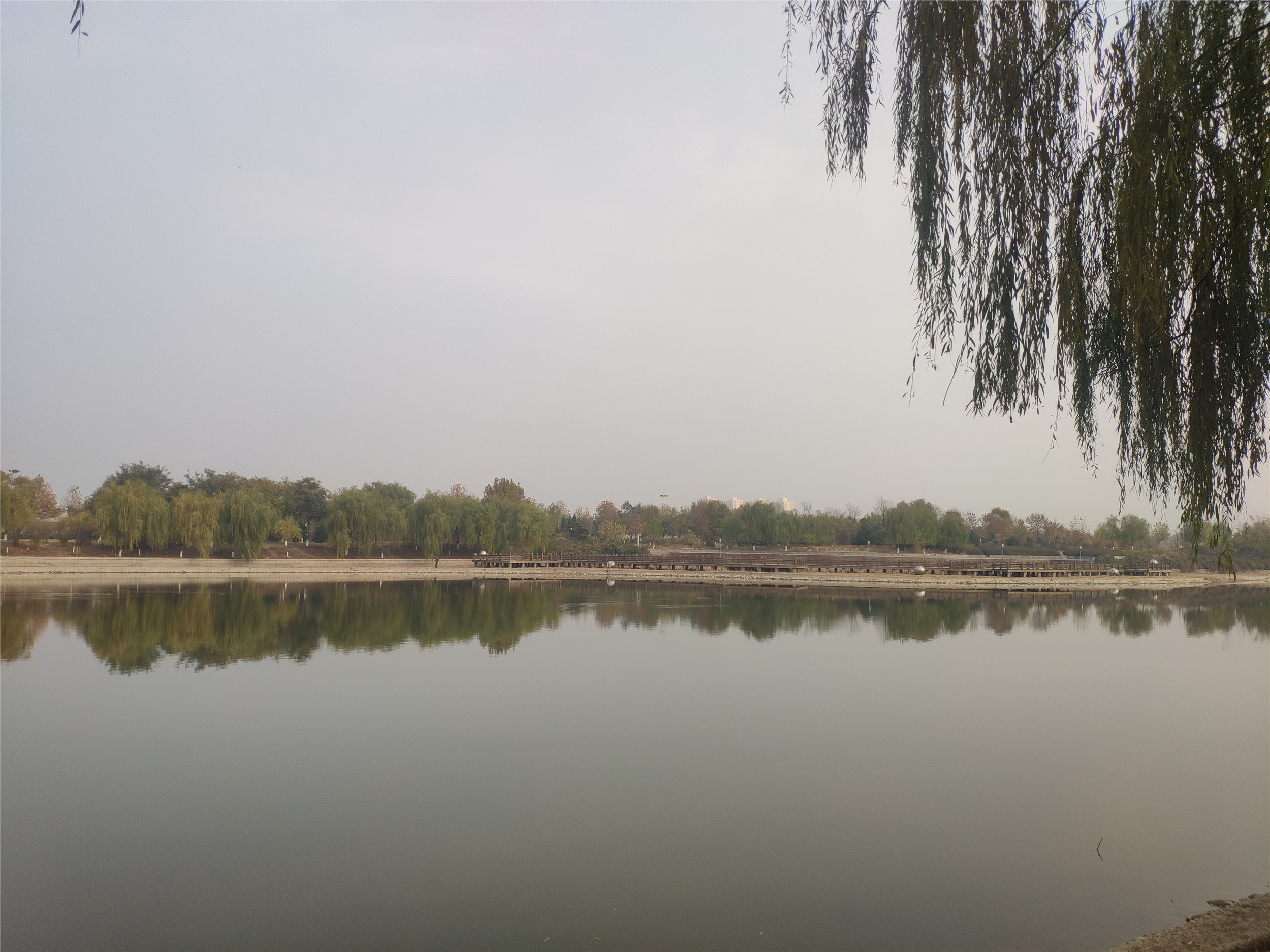 石家庄高迁公园