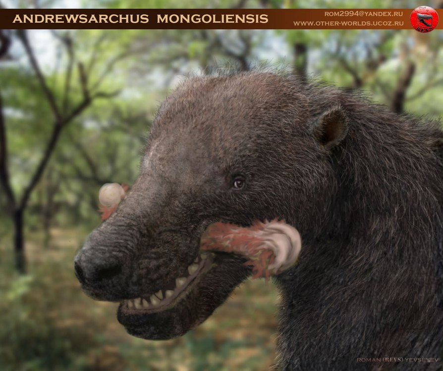 裂肉兽(sarkastodon)