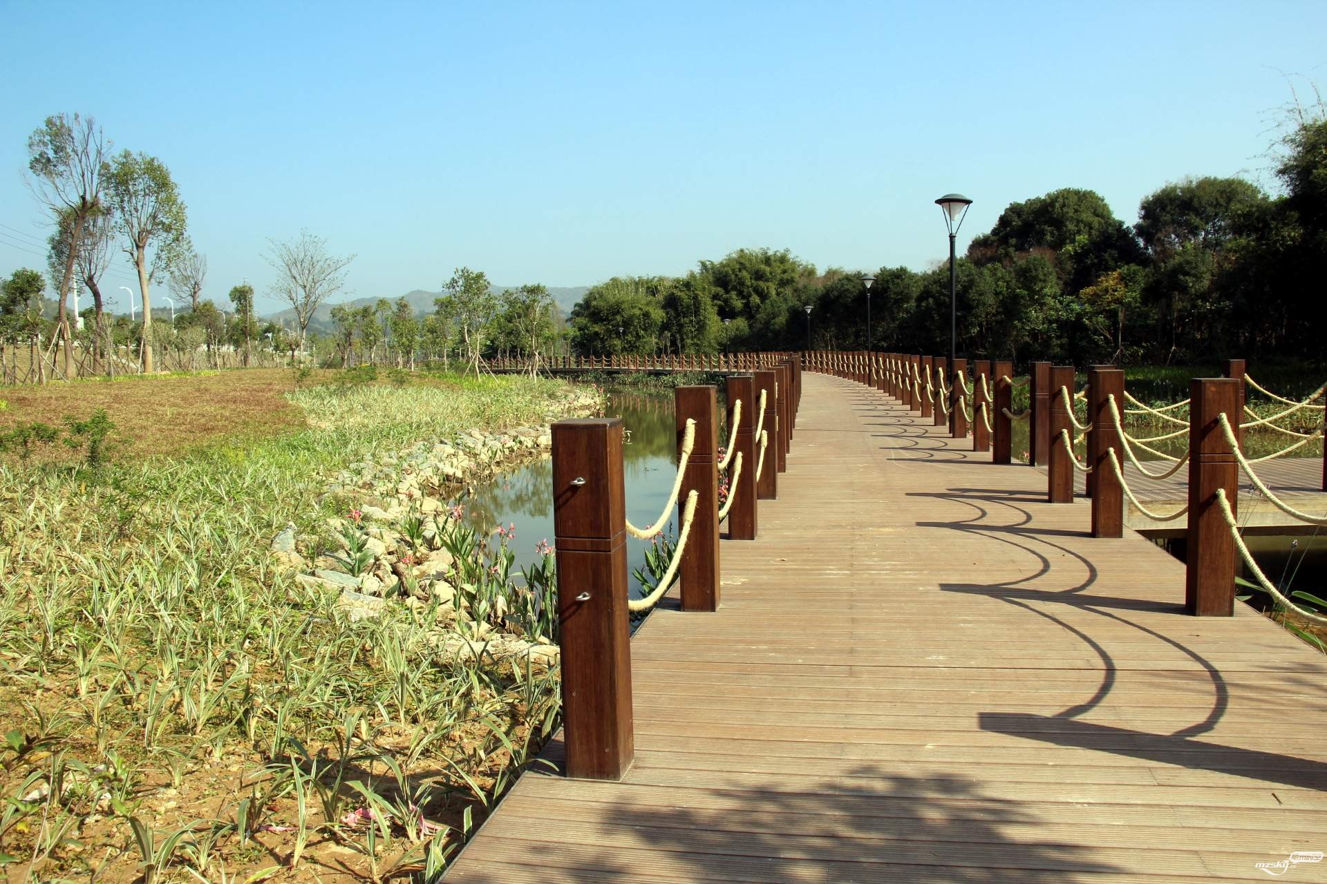 芹洋半岛滨水湿地公园