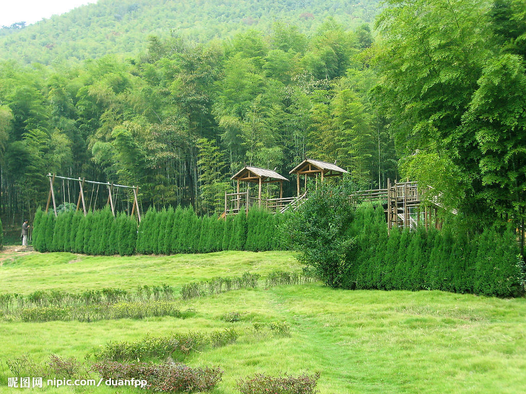  p>阔叶林:由 b> a target="_blank" href="/item/阔叶树">阔叶树 /a>