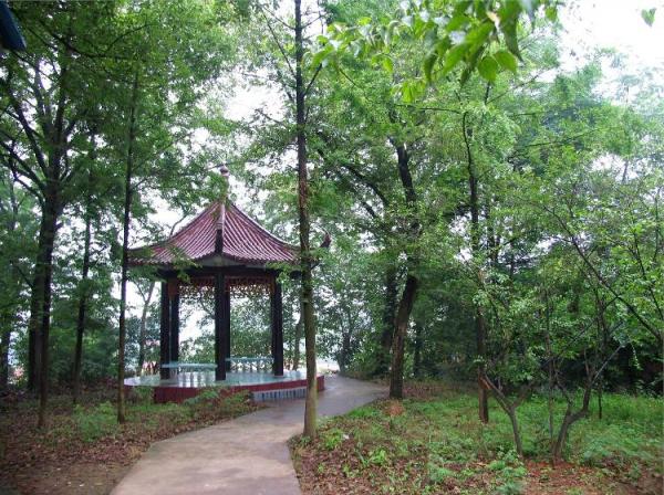 安徽省宣城市第三中学