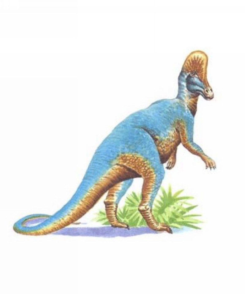  p>赖氏龙(属名:lambeosaurus)又名兰伯龙,意为"赖博 a href="#">蜥蜴