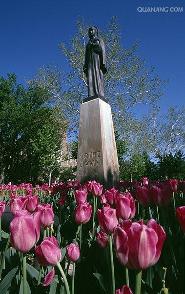  p>圣母大学(university of notre dame,又译为诺特丹大学),简称notre