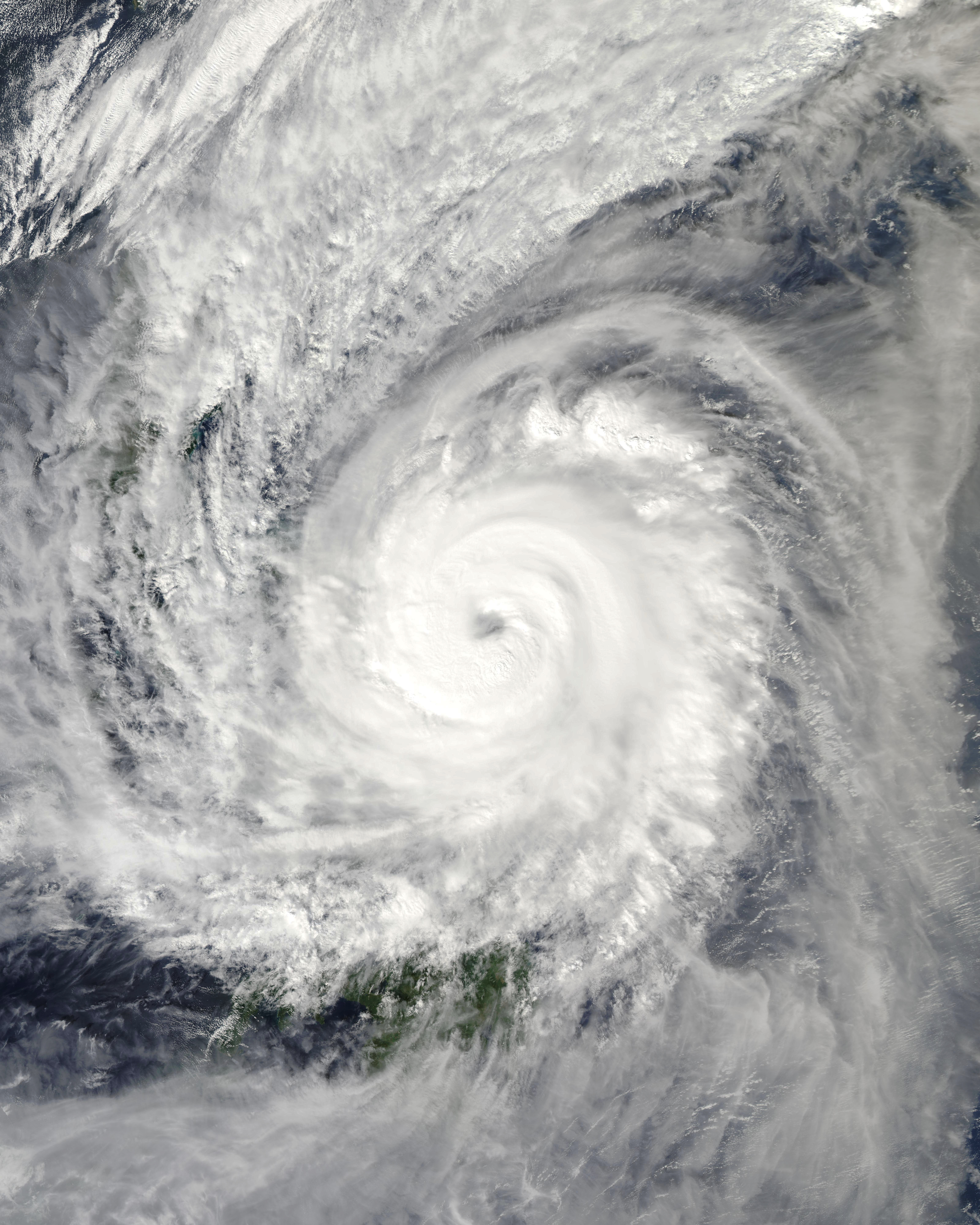 2019年第28号台风